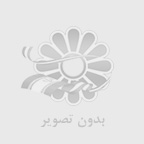 محمد محمدی